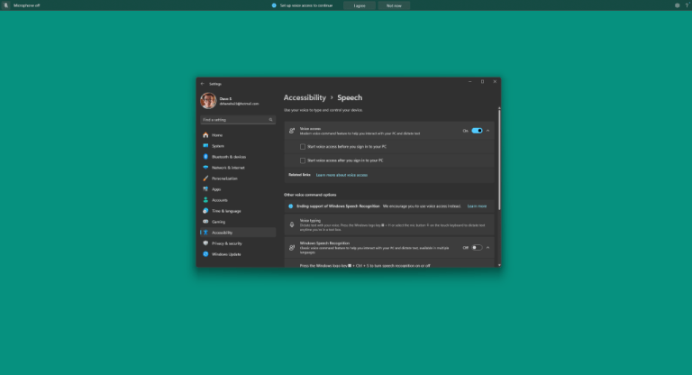 voice access in windows 11