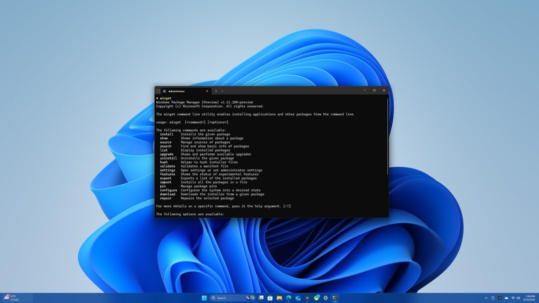 Master Windows Package Manager (Winget): Simplify Microsoft Store App and Windows 11 Game Installation (Command Line)