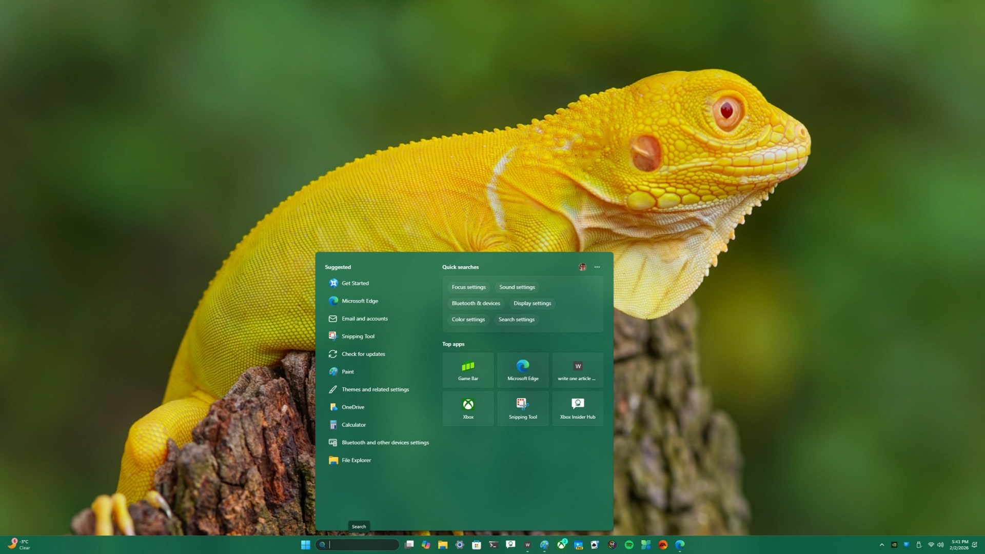 How to Turn Off That Irritating “Trending Now” and Web Suggestions in Windows 11 and Microsoft Edge